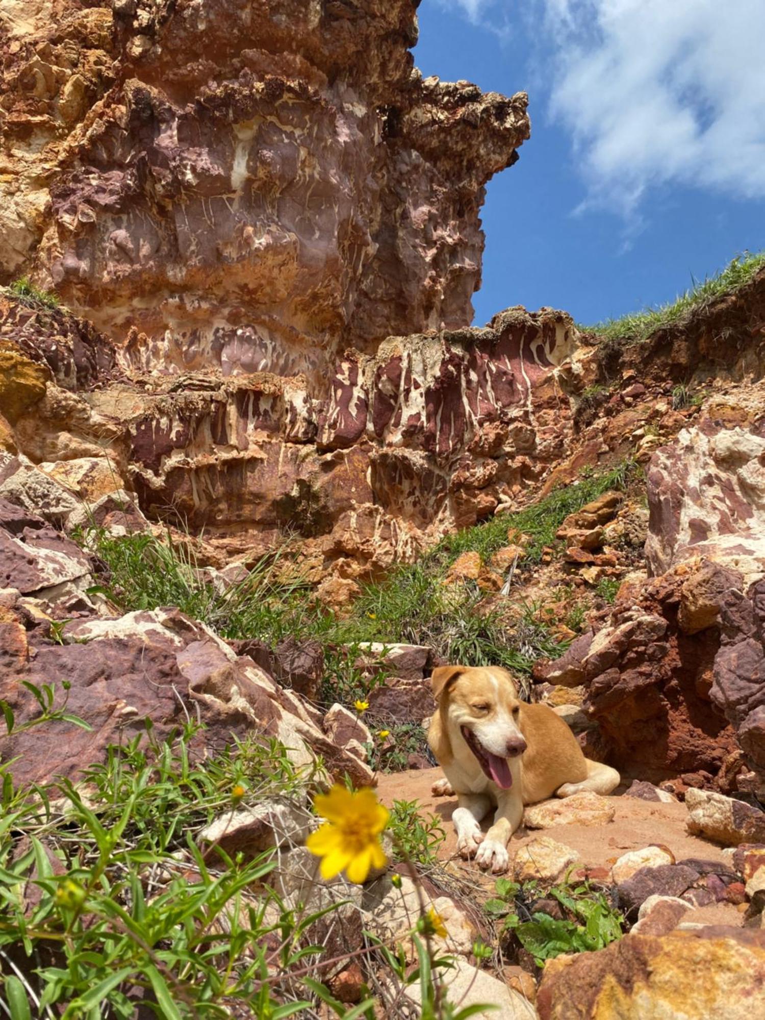 Ostello Aloha Icapuí Esterno foto